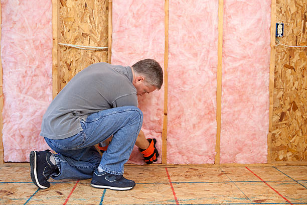 Best Insulation Maintenance and Repair in Lochsloy, WA