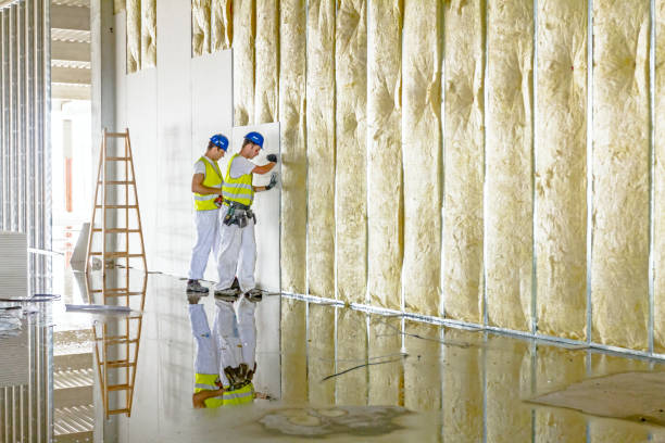 Best Fiberglass Insulation in Lochsloy, WA